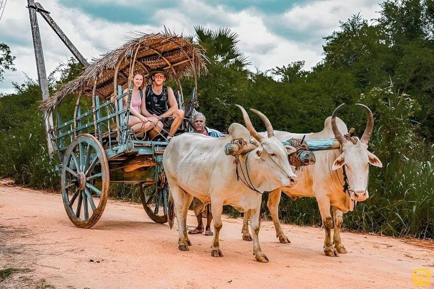 A cart pulled by oxen with passengers. 5