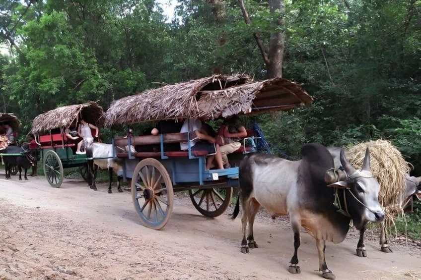 Sigiriya, Dambulla, Village Tour & Pidurangala Sunset Guided Tour 2