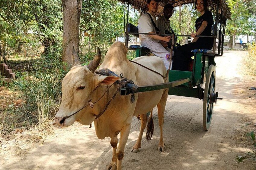 A man driving a cart pulled by a cow, with people seated in the cart. 4