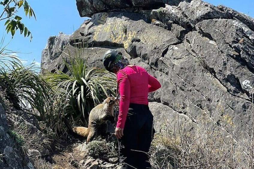 A person in a pink jacket and black pants standing on a rocky path with a dog. 4