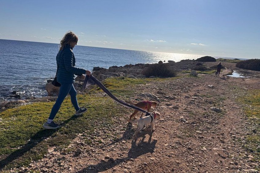 A person walking a dog on a rocky beach with the ocean in the background. 3
