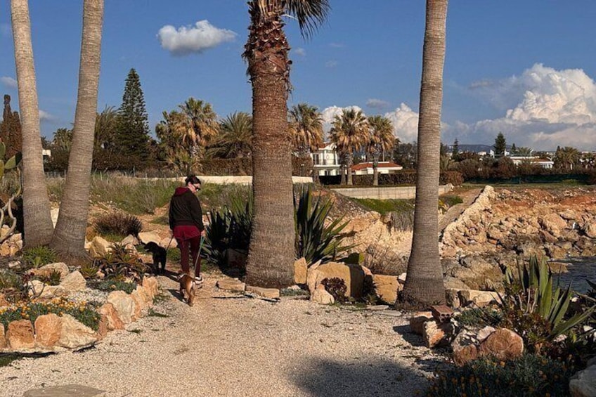 A person walking a dog on a gravel path surrounded by palm trees and rocks. 3