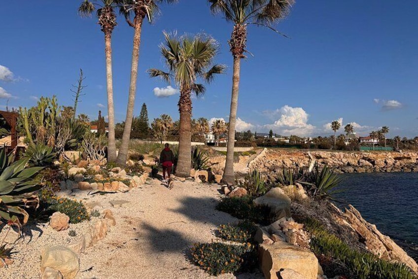 A sandy path with palm trees, rocks, and a body of water. 4