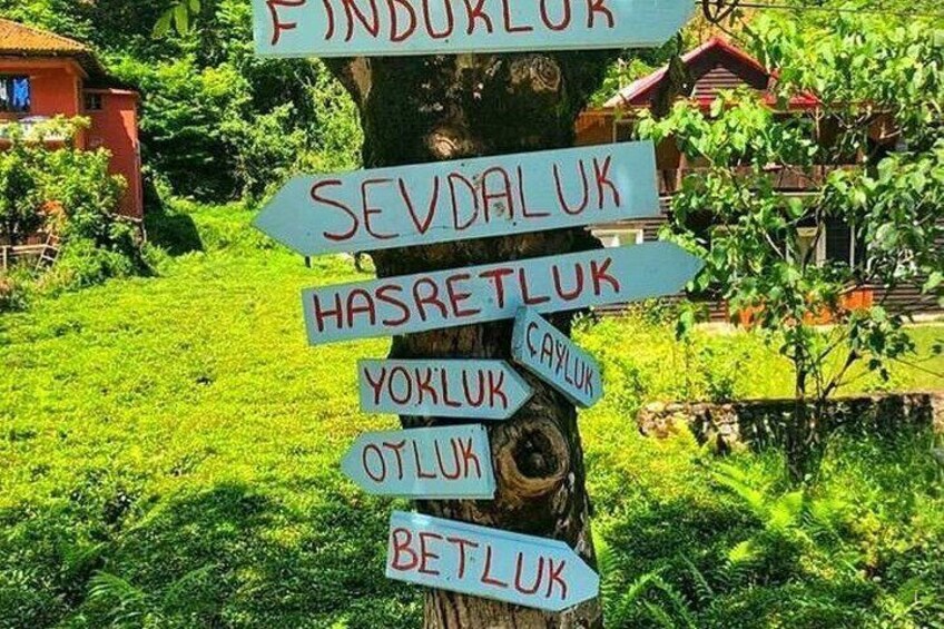 Ayder Yaylası Gezisi Günübirlik 2