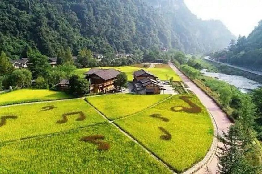 Ländliche Landschaft mit angelegten Reisfeldern, traditionellen Häusern und einem Fluss. 5