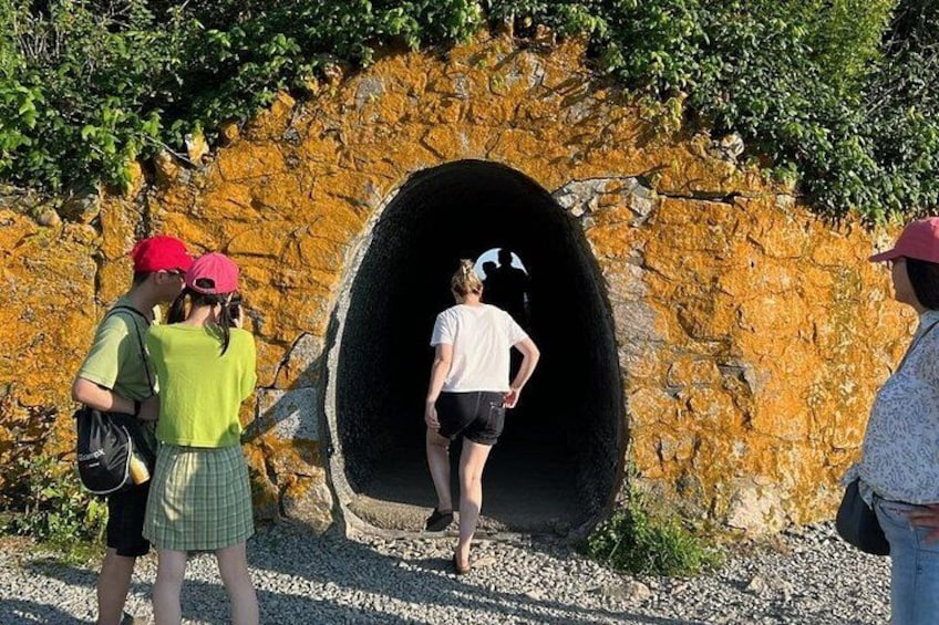 A group of people standing near a tunnel entrance with a rocky wall. 2
