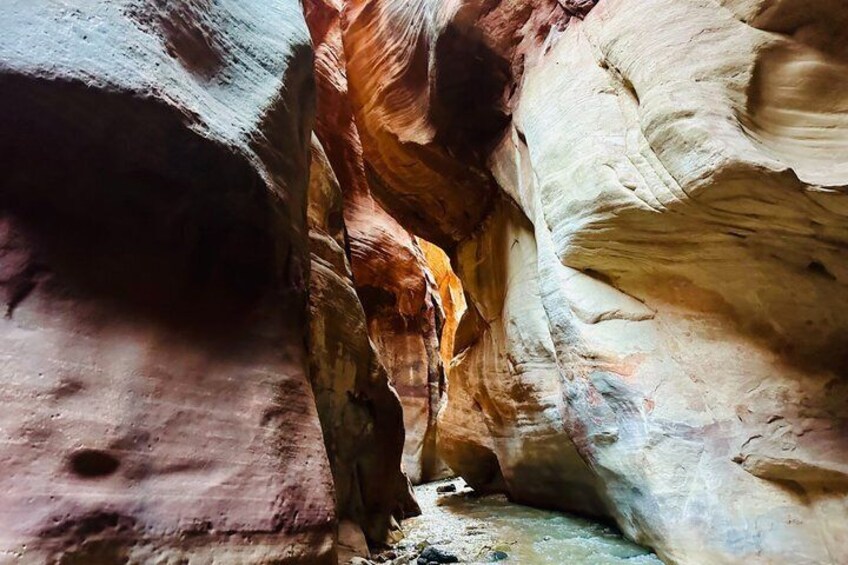 Kanarra Falls: Private Guided Hike + Picnic 5