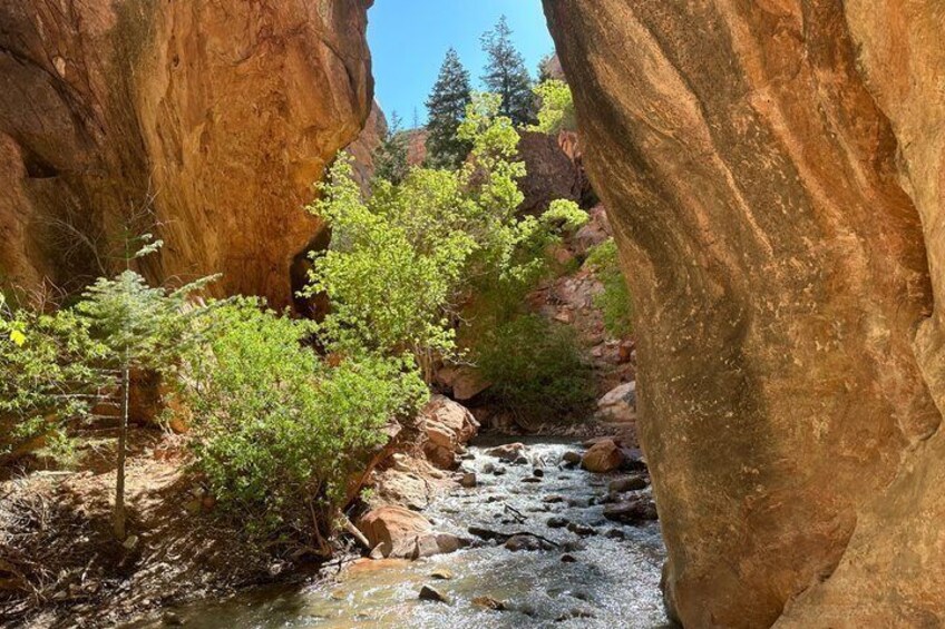 Kanarra Falls: Private Guided Hike + Picnic 4