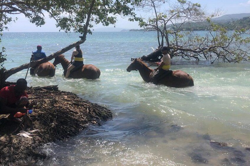 Zip-lining/Horseback Rides/Cat & Atv Inclusive Act with Transpo From Montego Bay 1