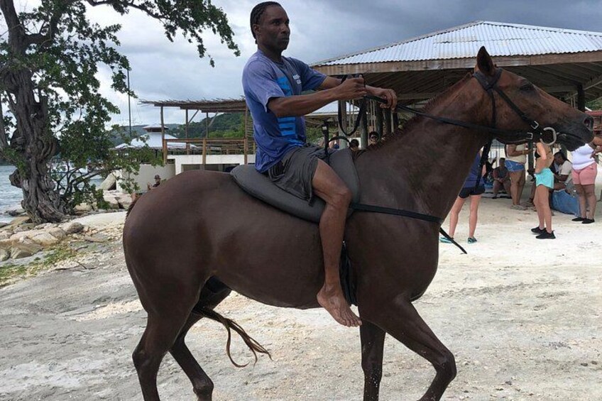 Zip-lining/Horseback Rides/Cat & Atv Inclusive Act with Transpo From Montego Bay 5