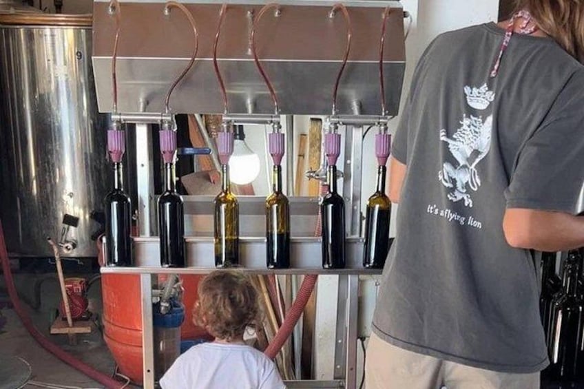 Kefalonia Wine Experience: Sklavos & Haritatos Estates 4