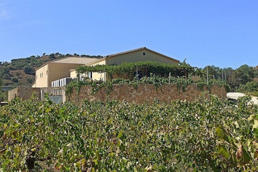 Kefalonia Wine Experience: Sklavos & Haritatos Estates 2