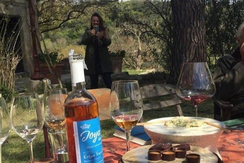 Kefalonia Wine Experience: Sklavos & Haritatos Estates 5