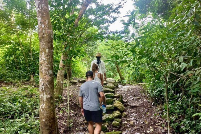 A person walking on a muddy path in a forested area with trees and rocks. 4