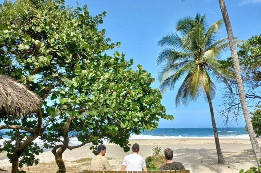 A beach with palm trees, a thatched roof structure, and people sitting on a bench. 1