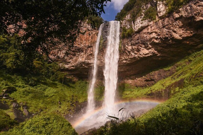 Een waterval stort neer over een rotswand, omringd door weelderige begroeiing. 1