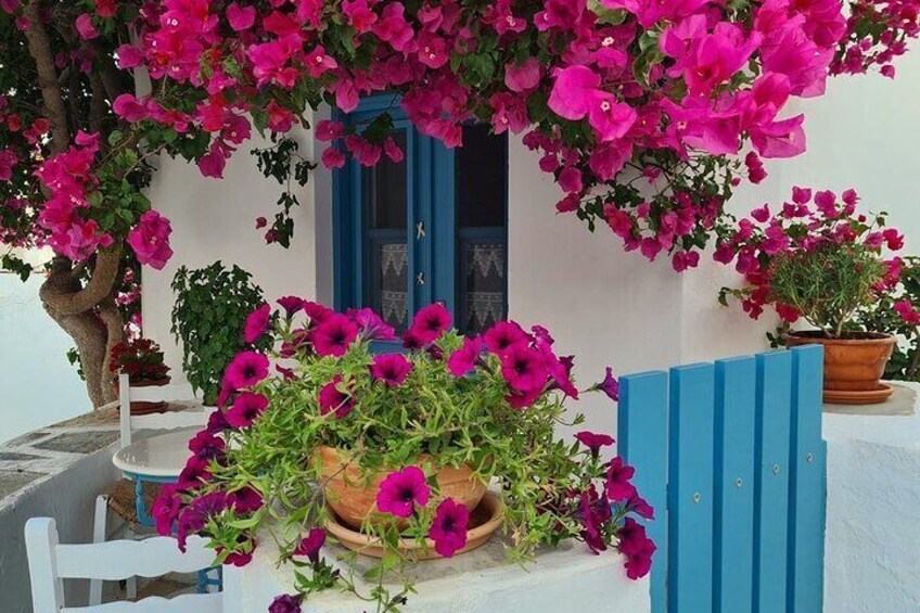 A white building with a blue door, surrounded by potted pink flowers and a blue fence. 1
