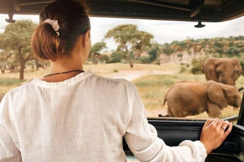 Full Day Pilanesberg Safari from Johannesburg 5