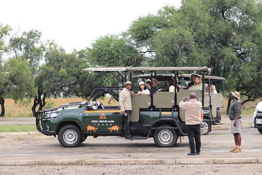 Full Day Pilanesberg Safari from Johannesburg 4
