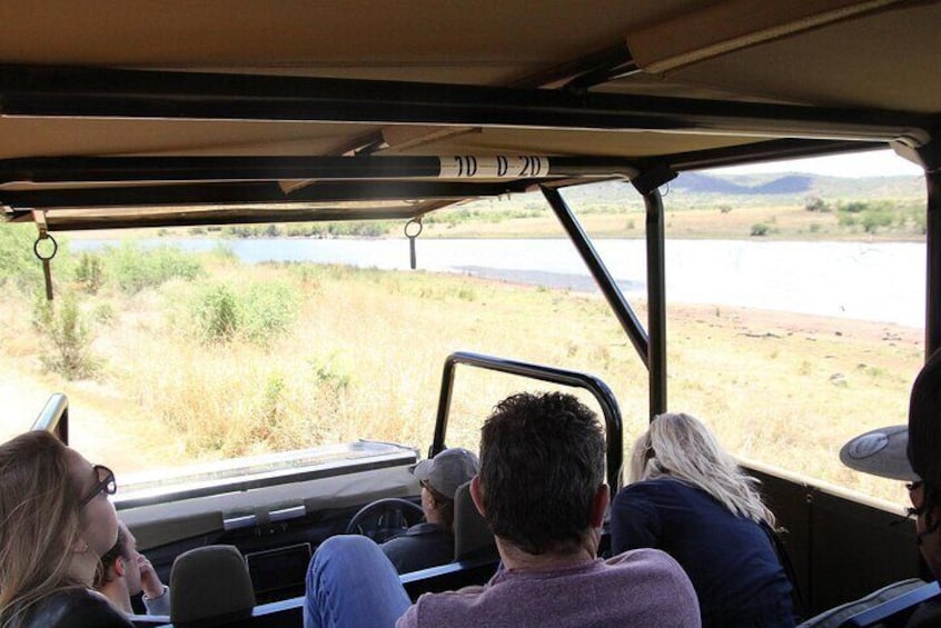 Full Day Pilanesberg Safari from Johannesburg 2