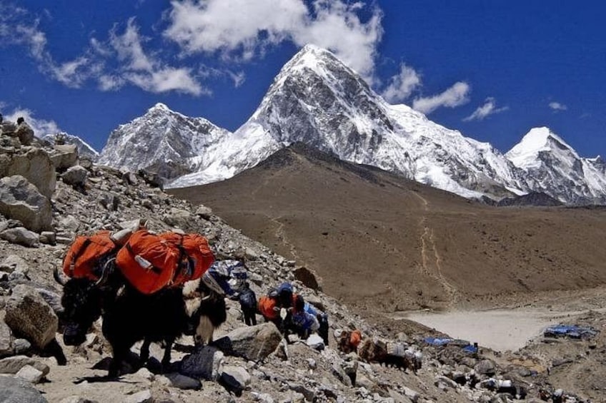 Everest Base Camp Helicopter Tour 1 Day 2