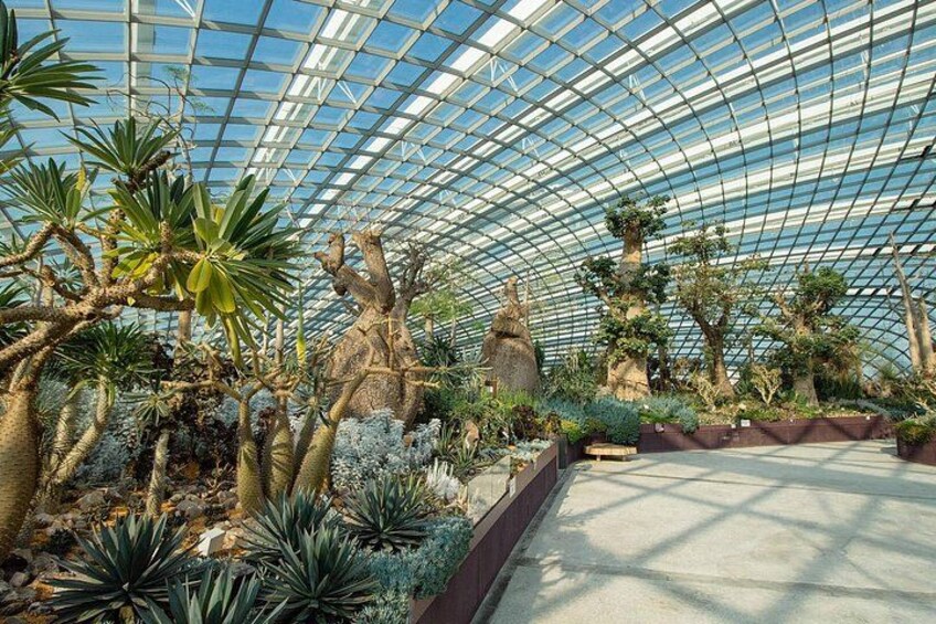Une serre dotée d’un toit en verre, où l’on trouve différentes espèces de cactus et des plantes tropicales. 3