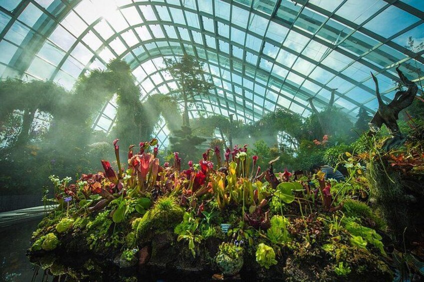 Une serre dotée d’un toit en verre, abritant diverses plantes et baignée d’une atmosphère brumeuse. 4