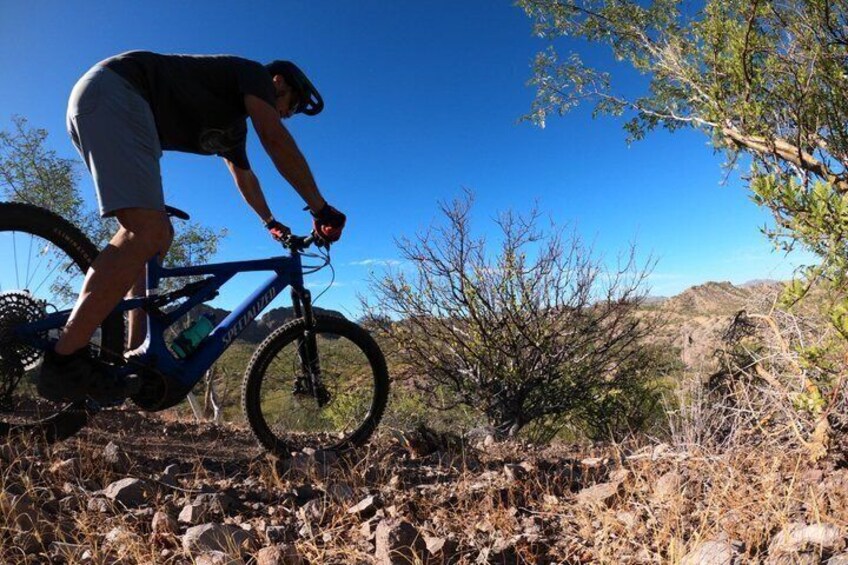 Exclusive Ebike Adventure in Nopolo National Park 2