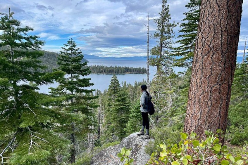 A person standing on a rock, overlooking a lake surrounded by trees. 1