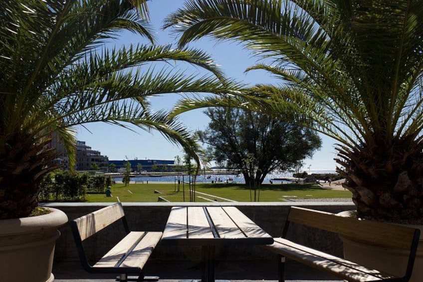 A bench overlooking a waterfront with palm trees and a view of the cityscape. 5