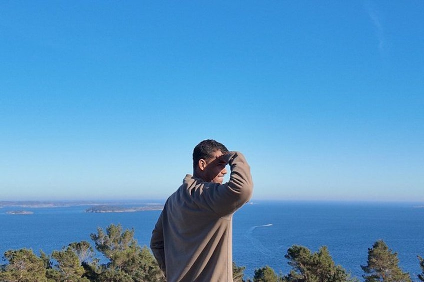 A person standing on a hill overlooking a coastal landscape with trees and the sea in the background. 2