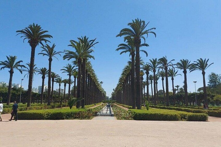 A pathway lined with tall palm trees, a clear sky, and a distant building. 3