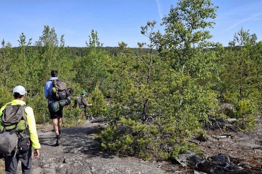 2 Day Hiking Adventure from Stockholm 2