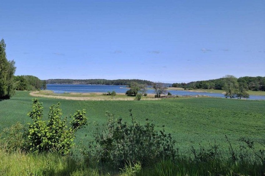 Un lago circondato da campi verdi e alberi. 4
