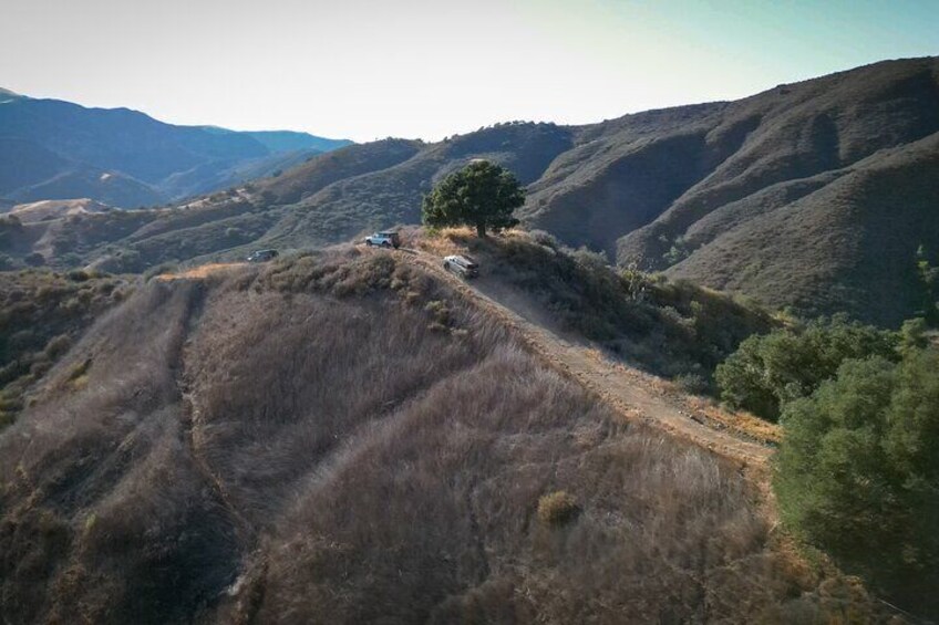 A dirt road winding through a hilly landscape with sparse vegetation and a single tree. 2