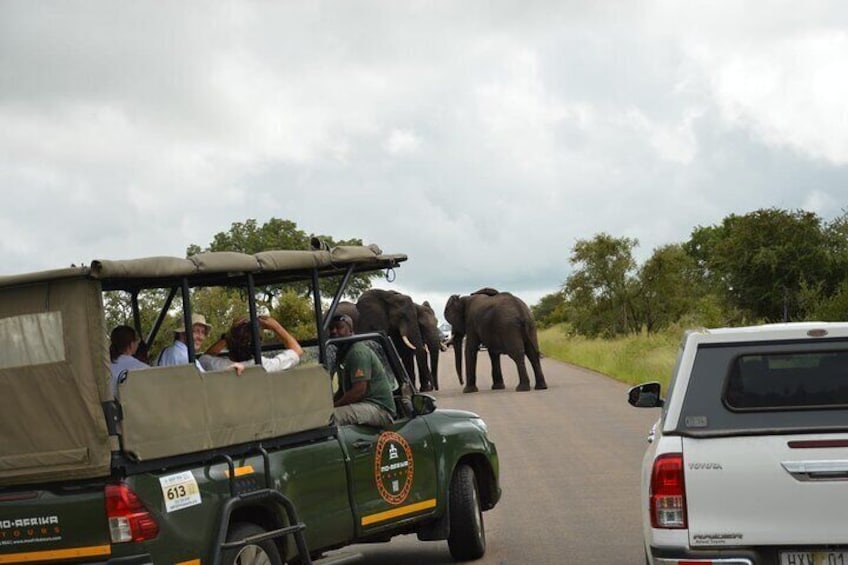 Pilanesberg National Park 6 Hour Safari from Sun City 3