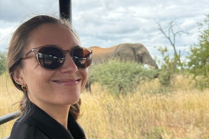 Pilanesberg National Park 6 Hour Safari from Sun City 2