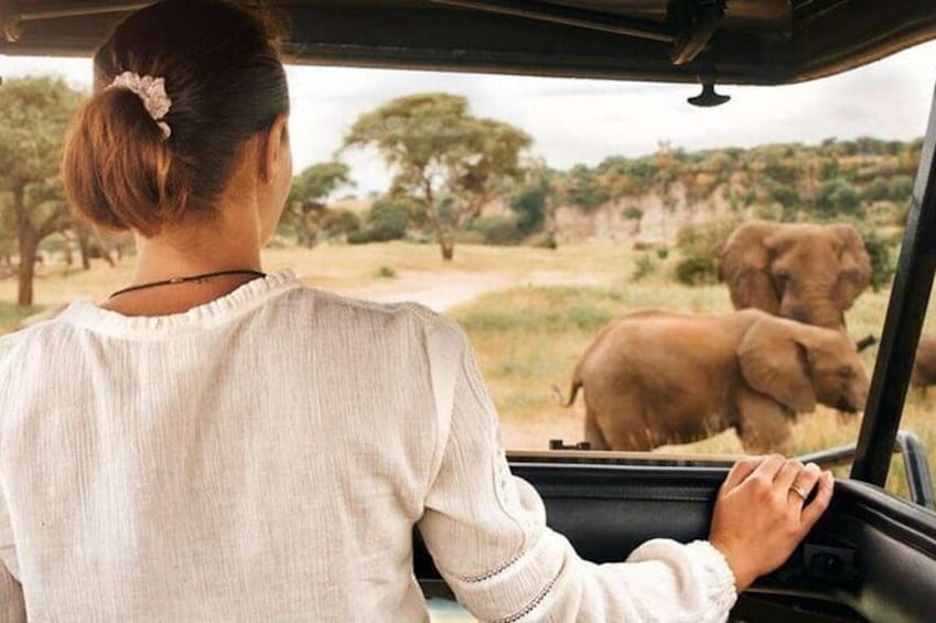 Pilanesberg National Park 6 Hour Safari from Sun City 5