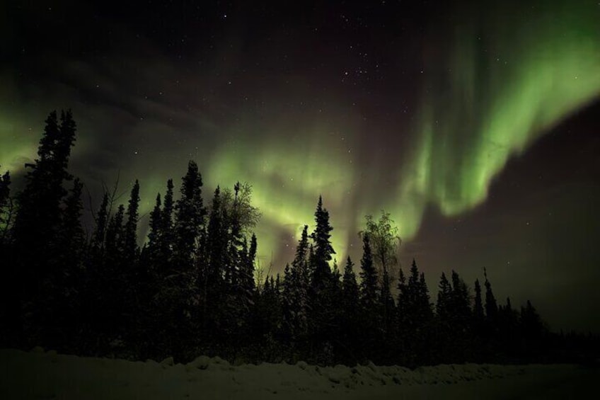 Nordlichter über einer bewaldeten Landschaft. 1