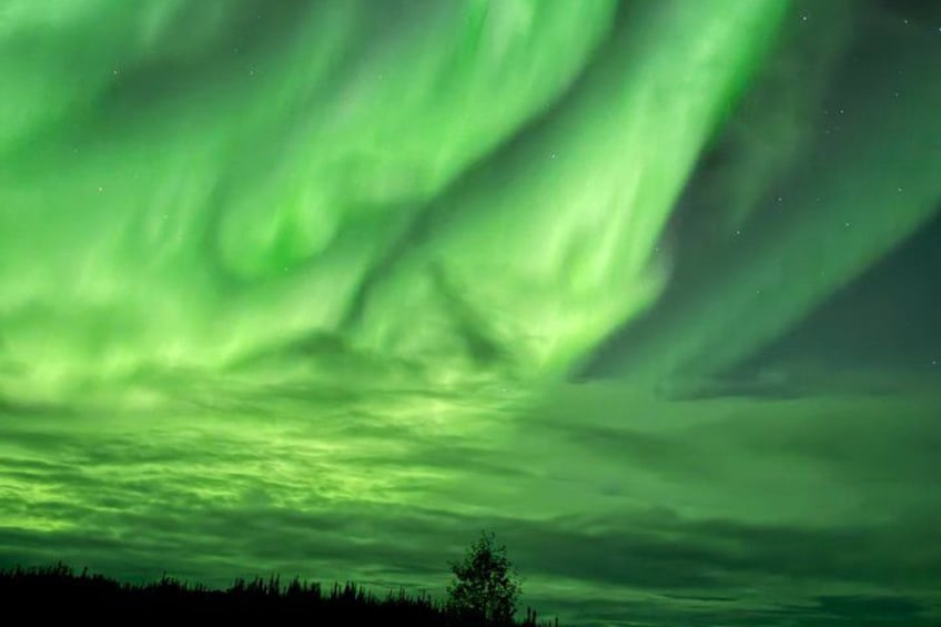 Nordlys over et skovlandskab. 3
