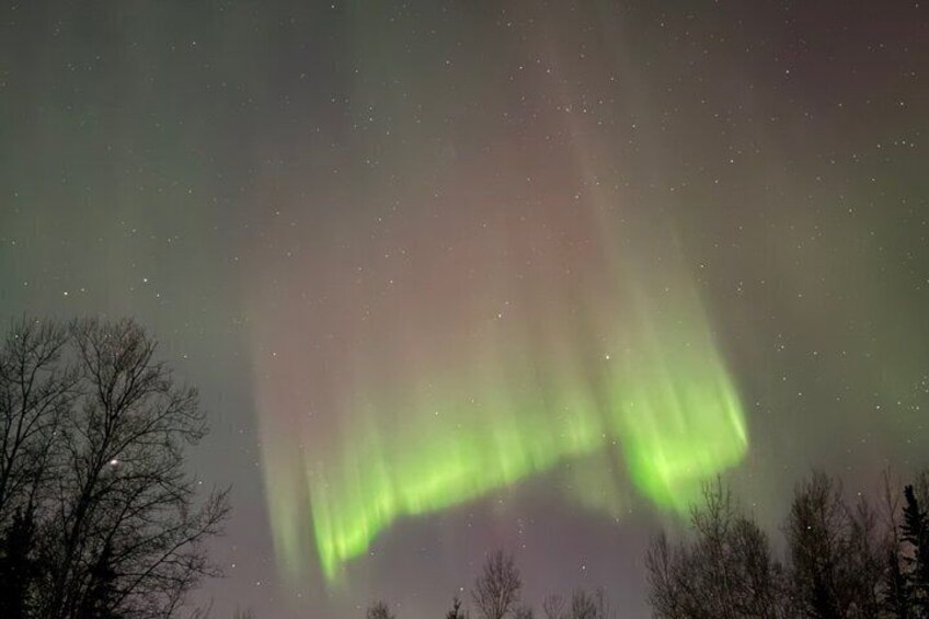 Nordlichter (Aurora Borealis) über einer bewaldeten Landschaft. 5