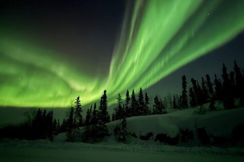Nordlichter über einem verschneiten Wald. 3