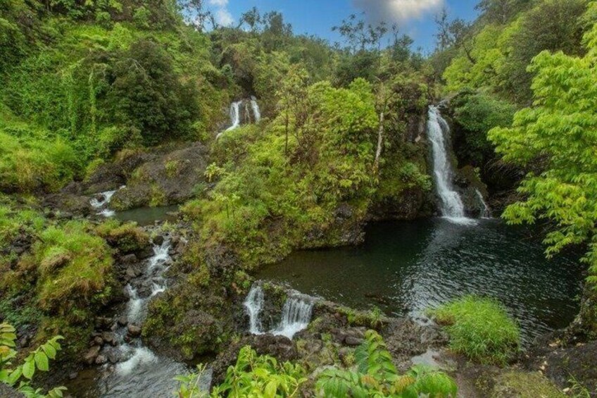 Una rigogliosa foresta verde con diverse cascate e un fiume tranquillo. 3