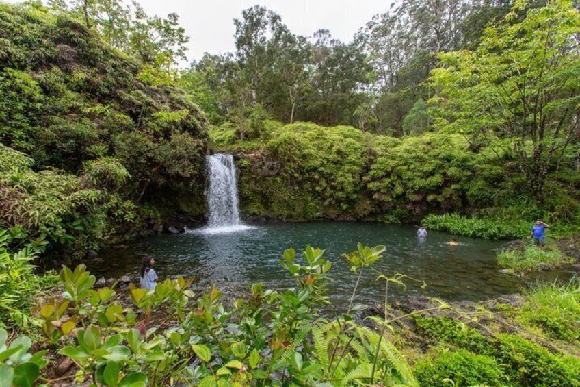 Una cascata in una foresta rigogliosa, con persone che nuotano nell'acqua. 5