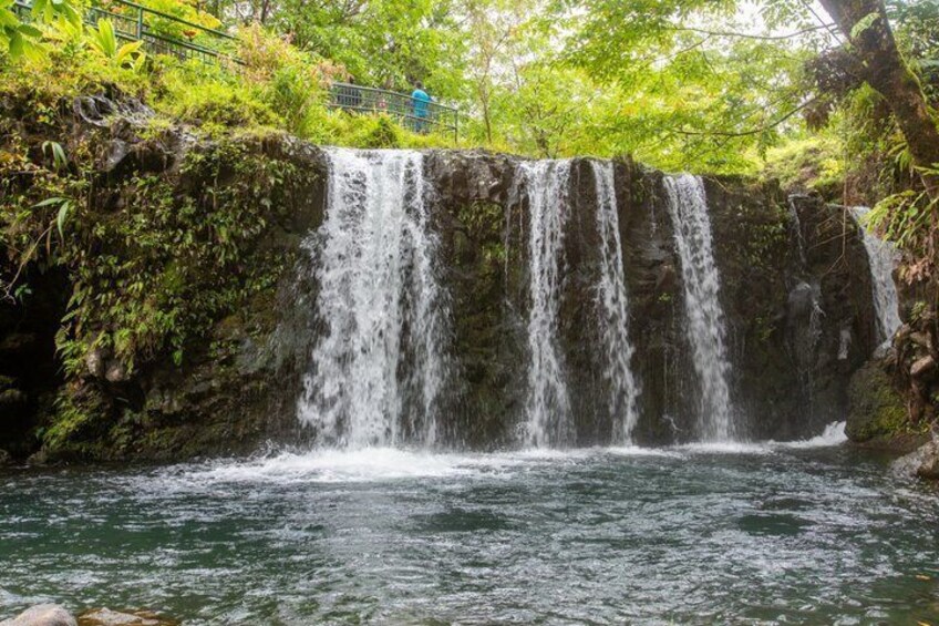 Una cascata si getta da una rupe rocciosa, circondata da vegetazione lussureggiante. 1