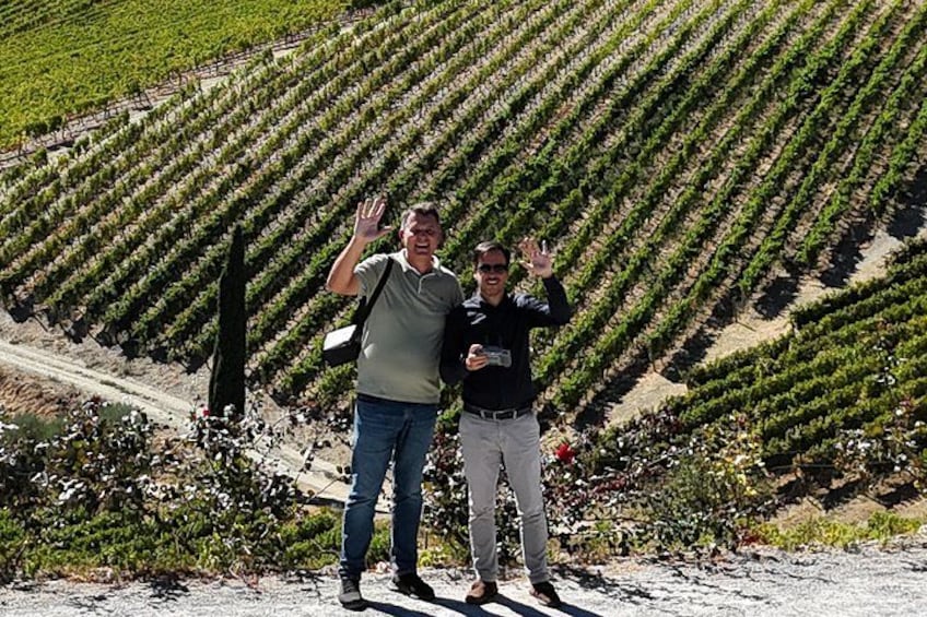 Two people standing in a vineyard with rows of grapevines. 5