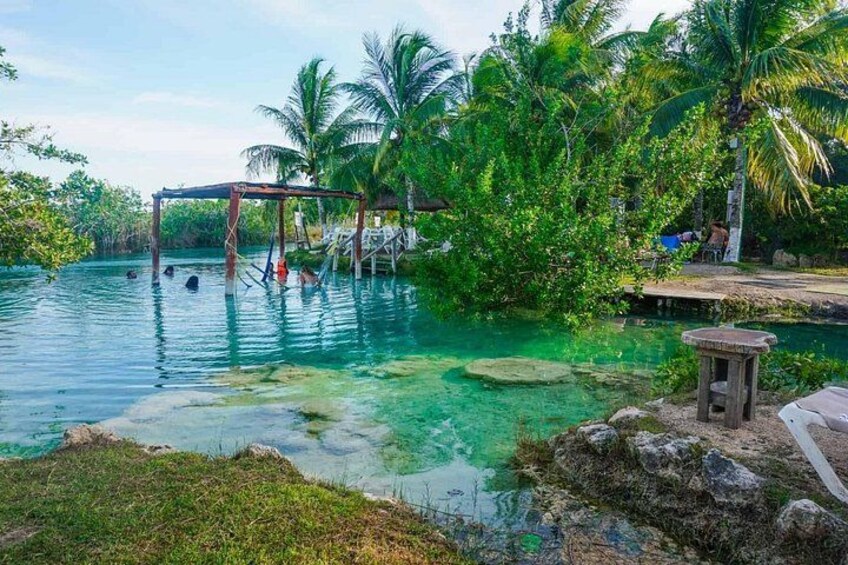 Une piscine tropicale à l’eau cristalline, bordée de palmiers et dotée d’un pont suspendu en bois. 2
