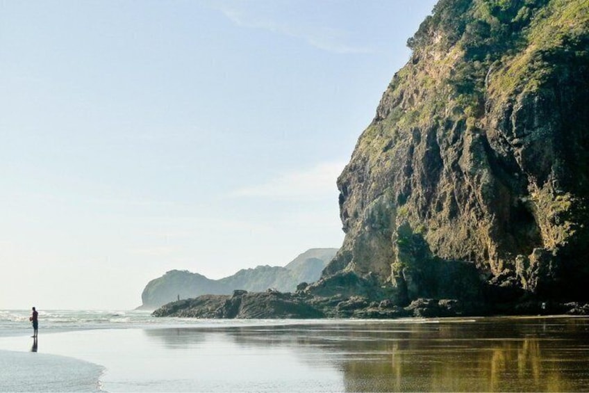 Auckland West Coast Half-Day Private Tour 5
