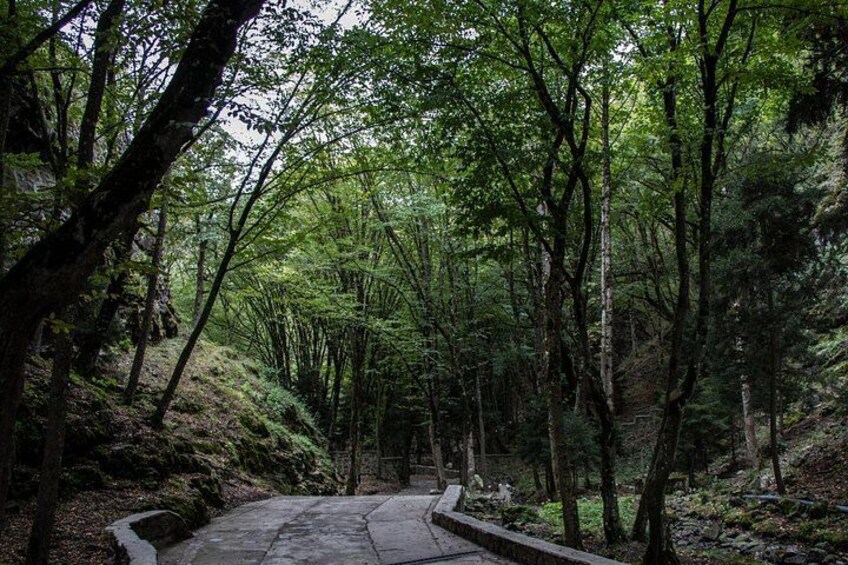 Ufistsikhe and Borjomi Sulfur Baths 3