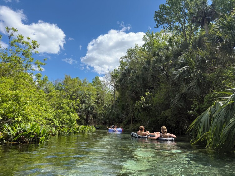 People floating on a river surrounded by dense tropical vegetation. 4